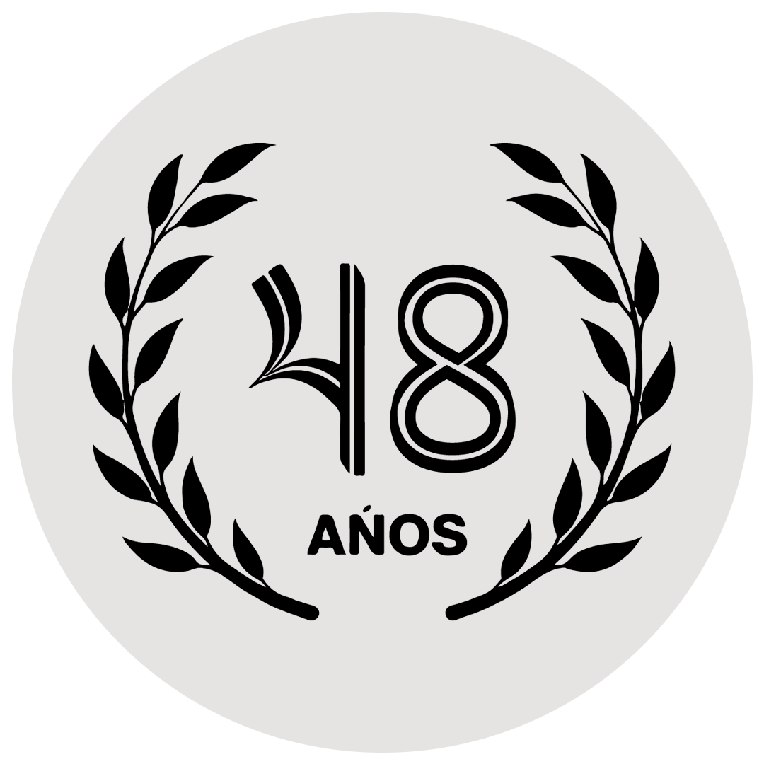 logo 48 anos grey